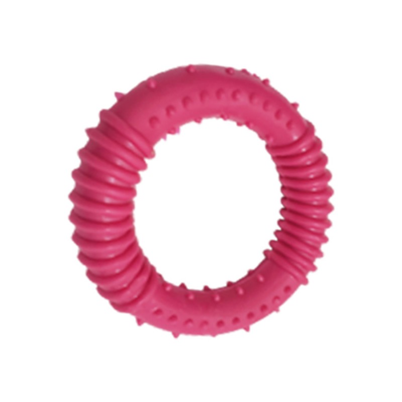 Kit 4 Mordedores Borracha Pet Rígidos Sortidos Brinquedo para Cachorro Atacado - Image 4