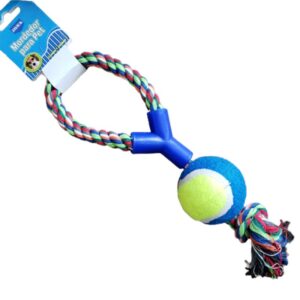 15205076039 Corda com bola de tenis curta brinquedo p cachorro atacado pet shop201 Distribuidora Pet Franxica