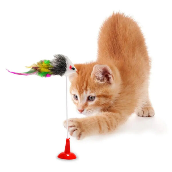 Brinquedo vara gato pena e ventosa
