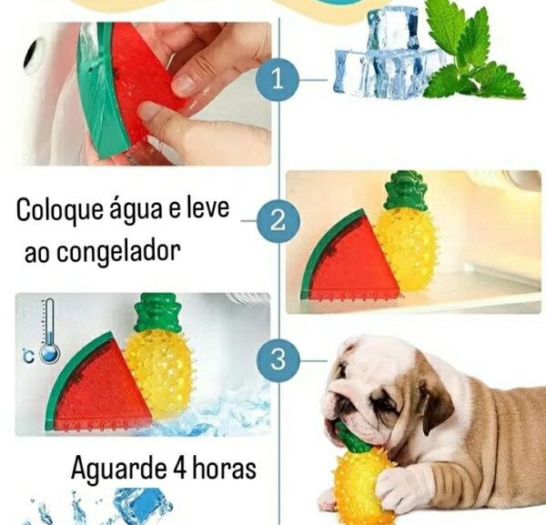 15308542897 frutas geladas 5 Frutas para congelar Melancia, abacaxi de Gelo Mordedor Atacado Pet