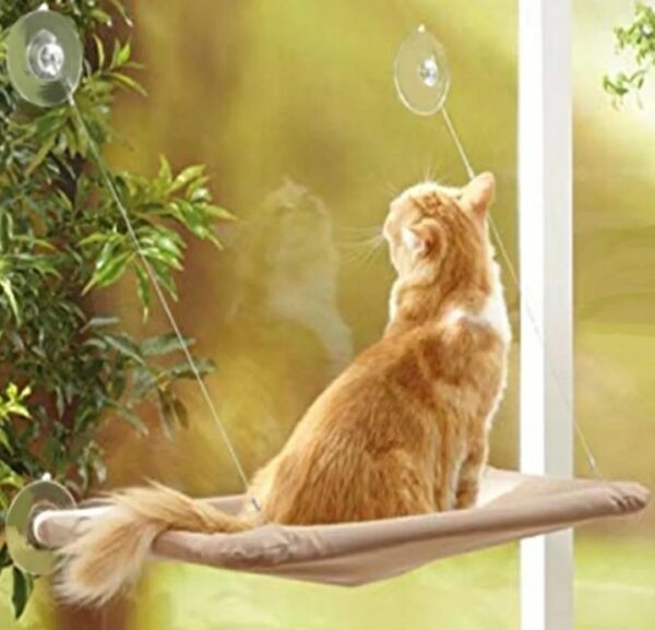 Cama De Janela Suspensa Para Gatos Com Ventosas - Image 7