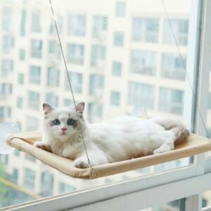 15333266887 screenshot 20250317 082554 shopee Distribuidora Pet Franxica