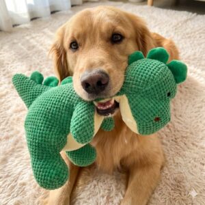 15396474738 dino golden Distribuidora Pet Franxica